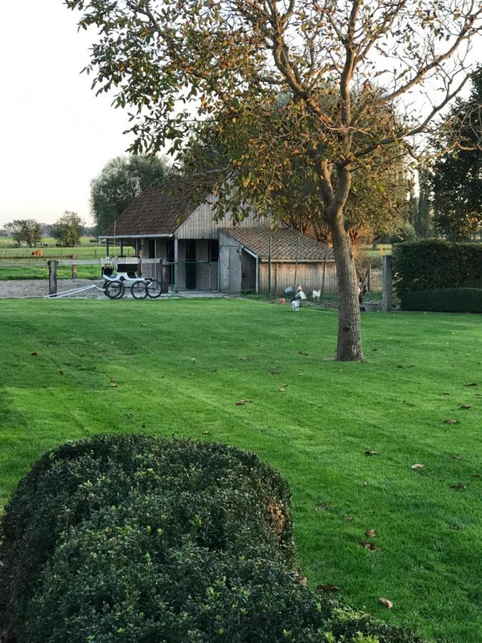 Bed & Breakfast A'laise *